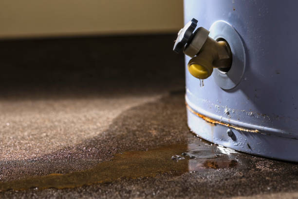 Best Water damage restoration near me  in Hitchcock, TX