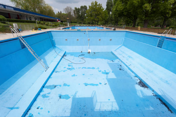 Best Mold removal after water damage  in Hitchcock, TX