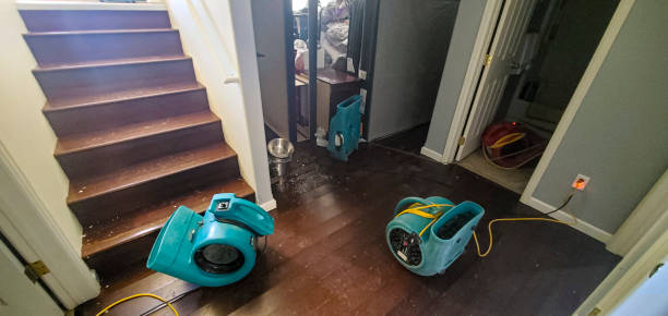 Best Water damage restoration services  in Hitchcock, TX