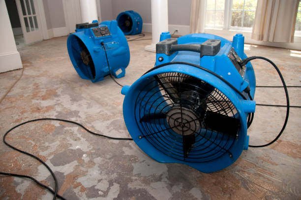 Best Sewage cleanup and water damage restoration  in Hitchcock, TX