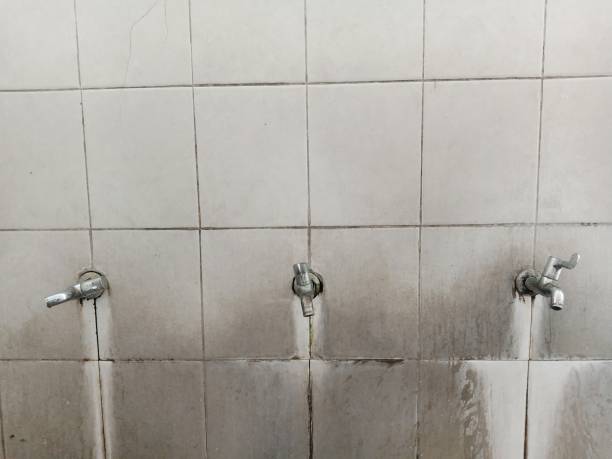 Best Fire Damage Restoration  in Hitchcock, TX